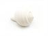 white tonna seashell